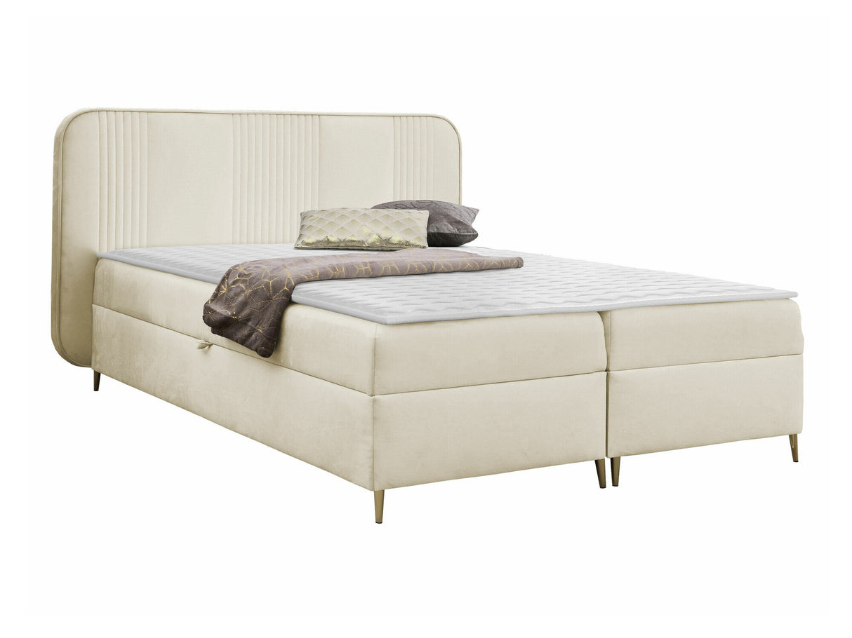 Continental lova 582487