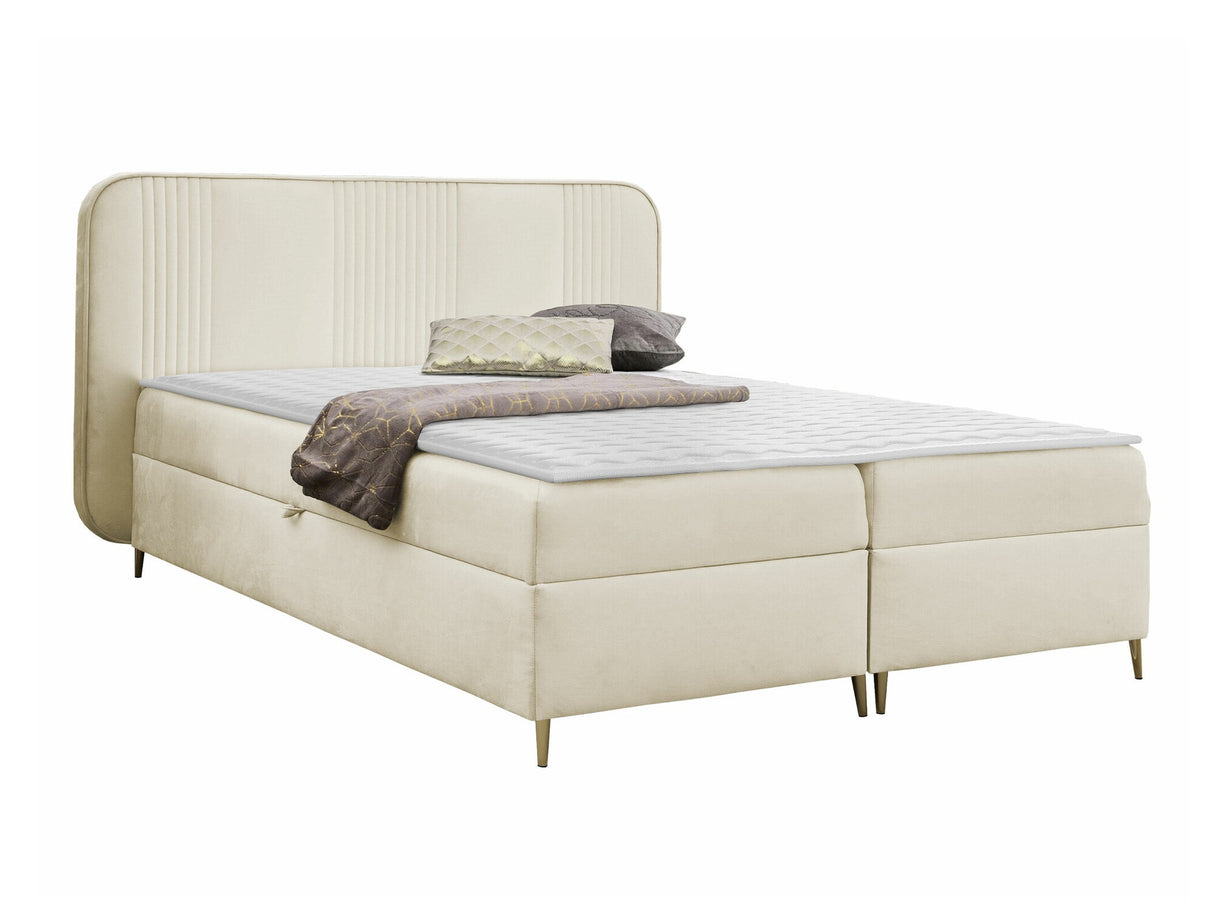 Continental lova 582487