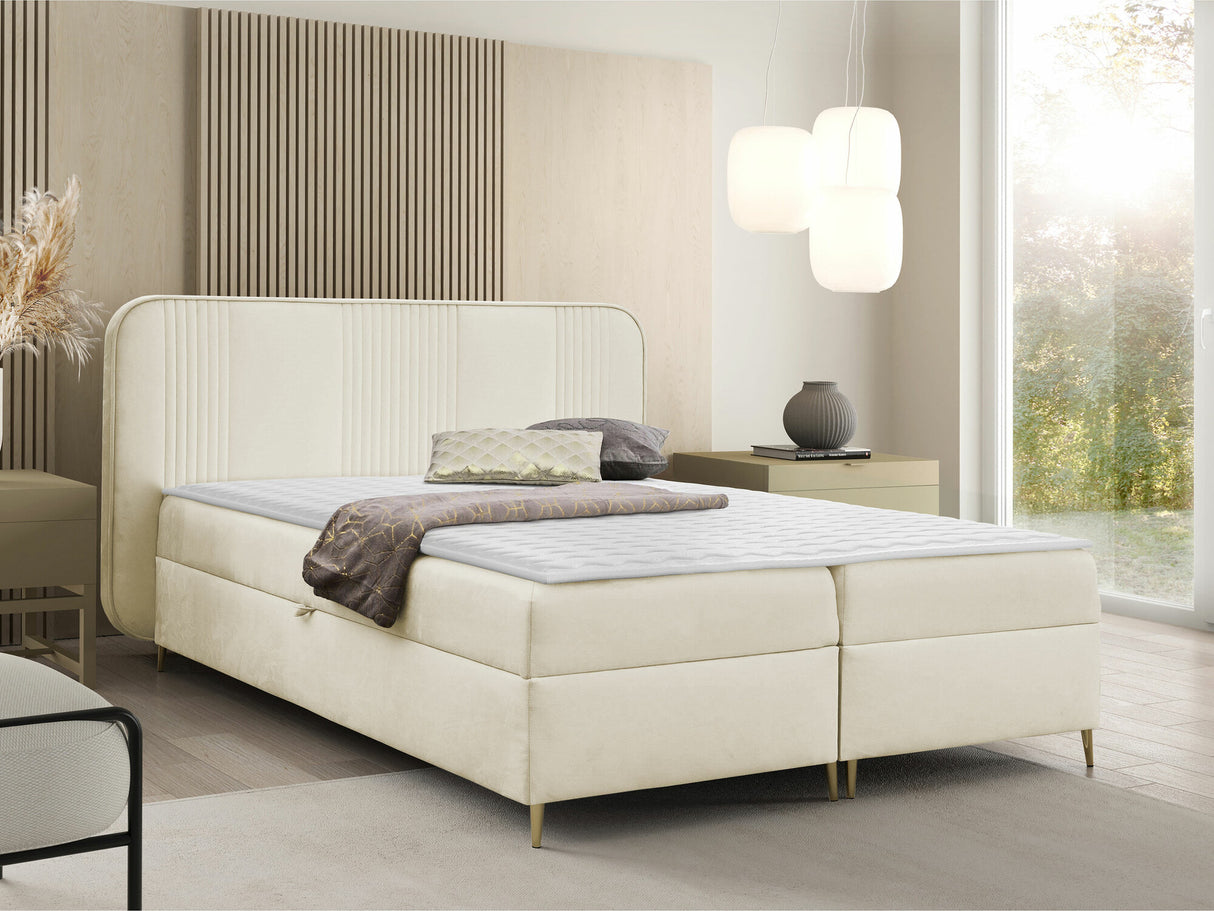 Continental lova 582487