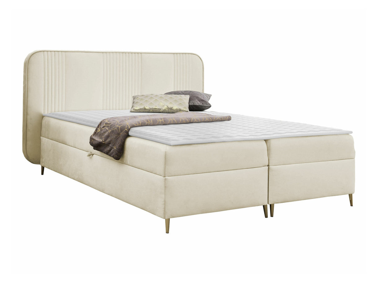 Continental lova 582487