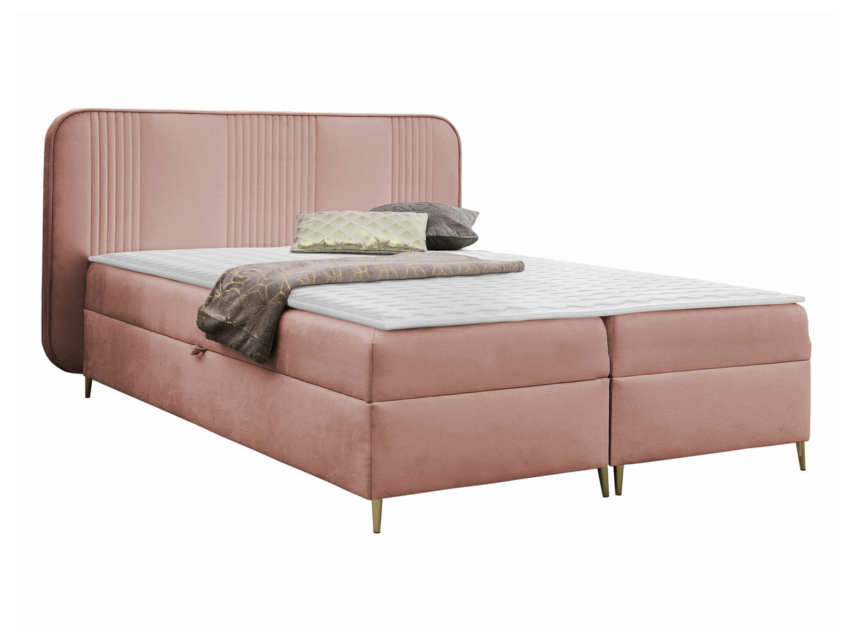 Continental lova 582487
