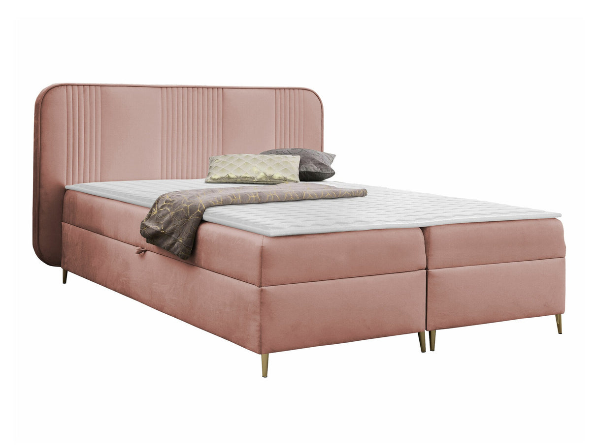 Continental lova 582487