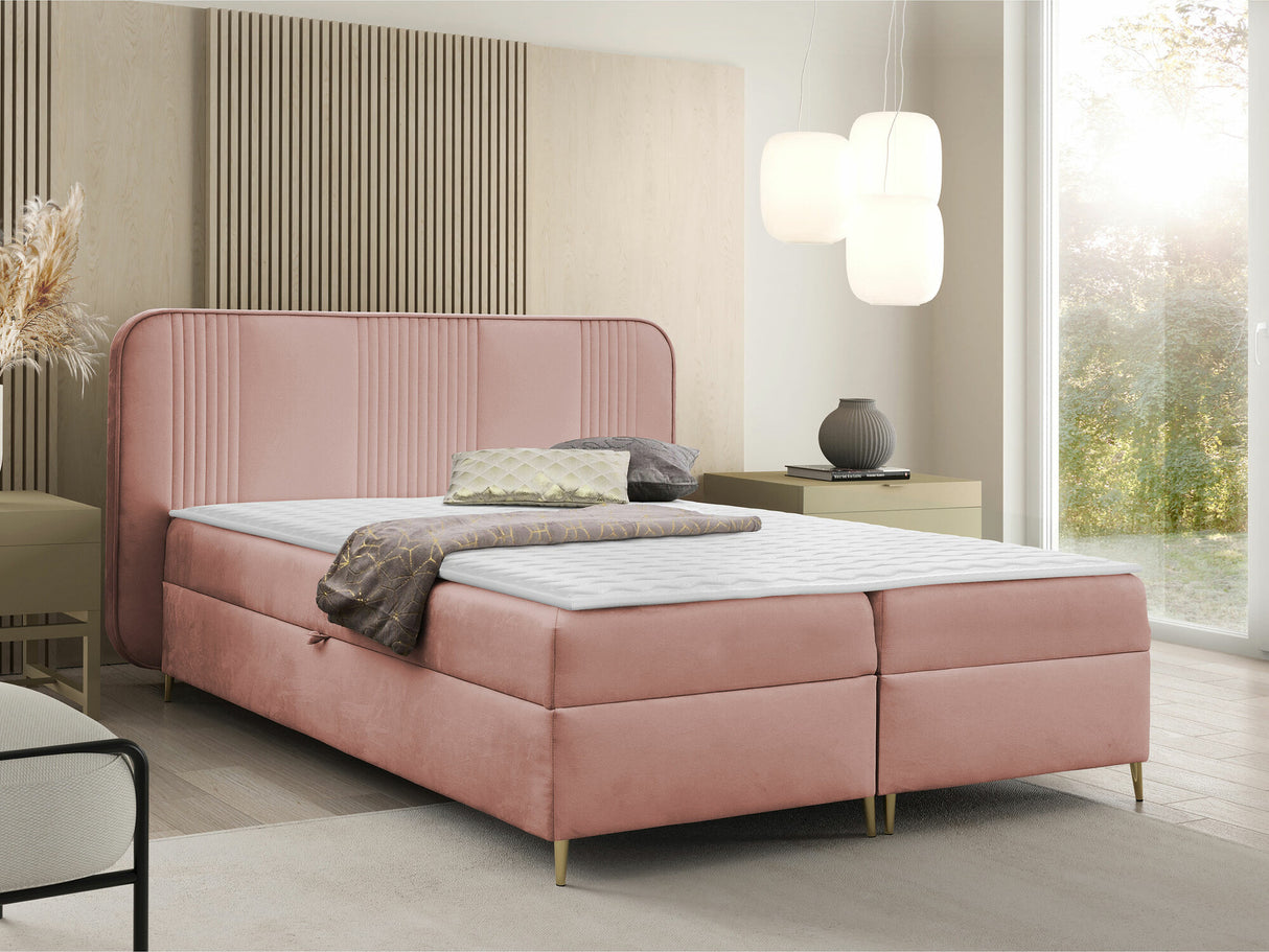 Continental lova 582487