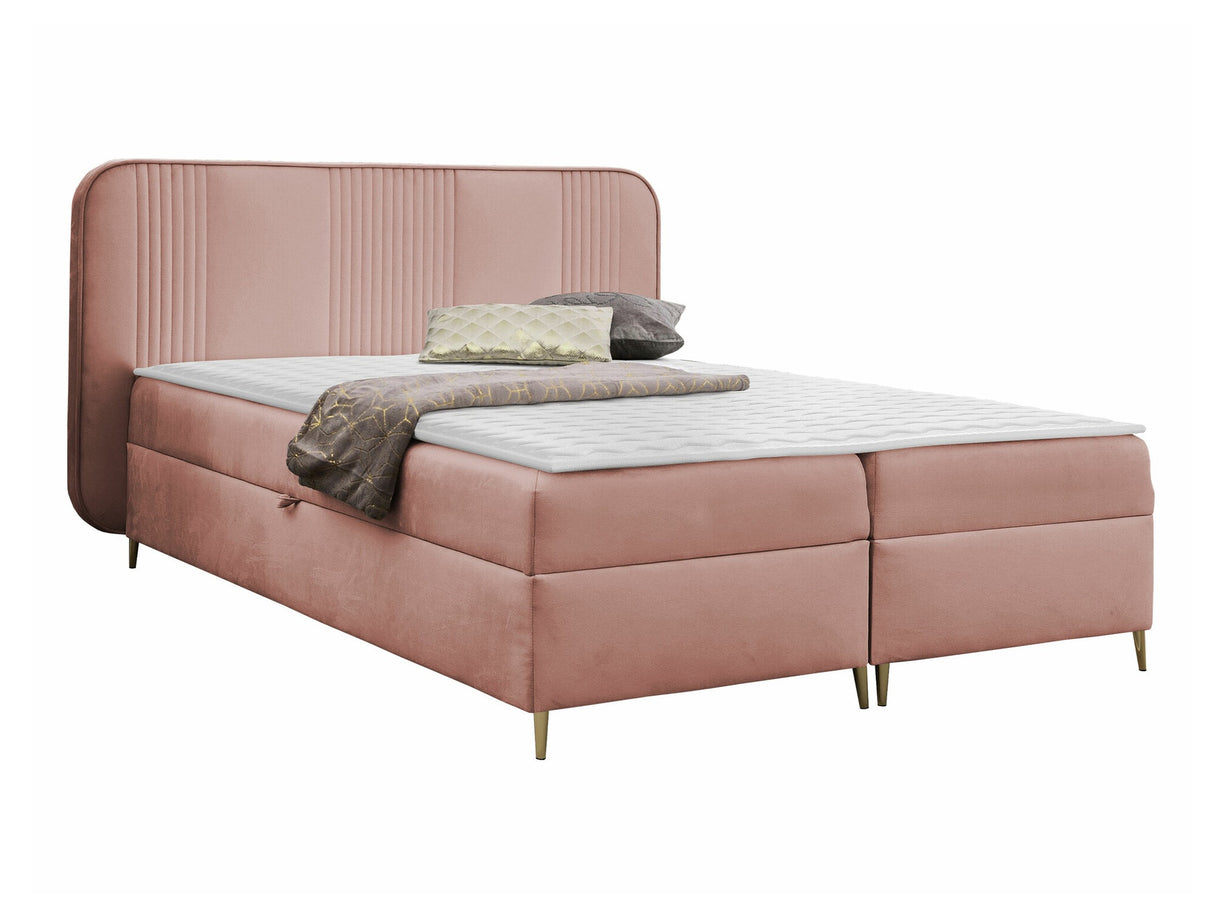 Continental lova 582487