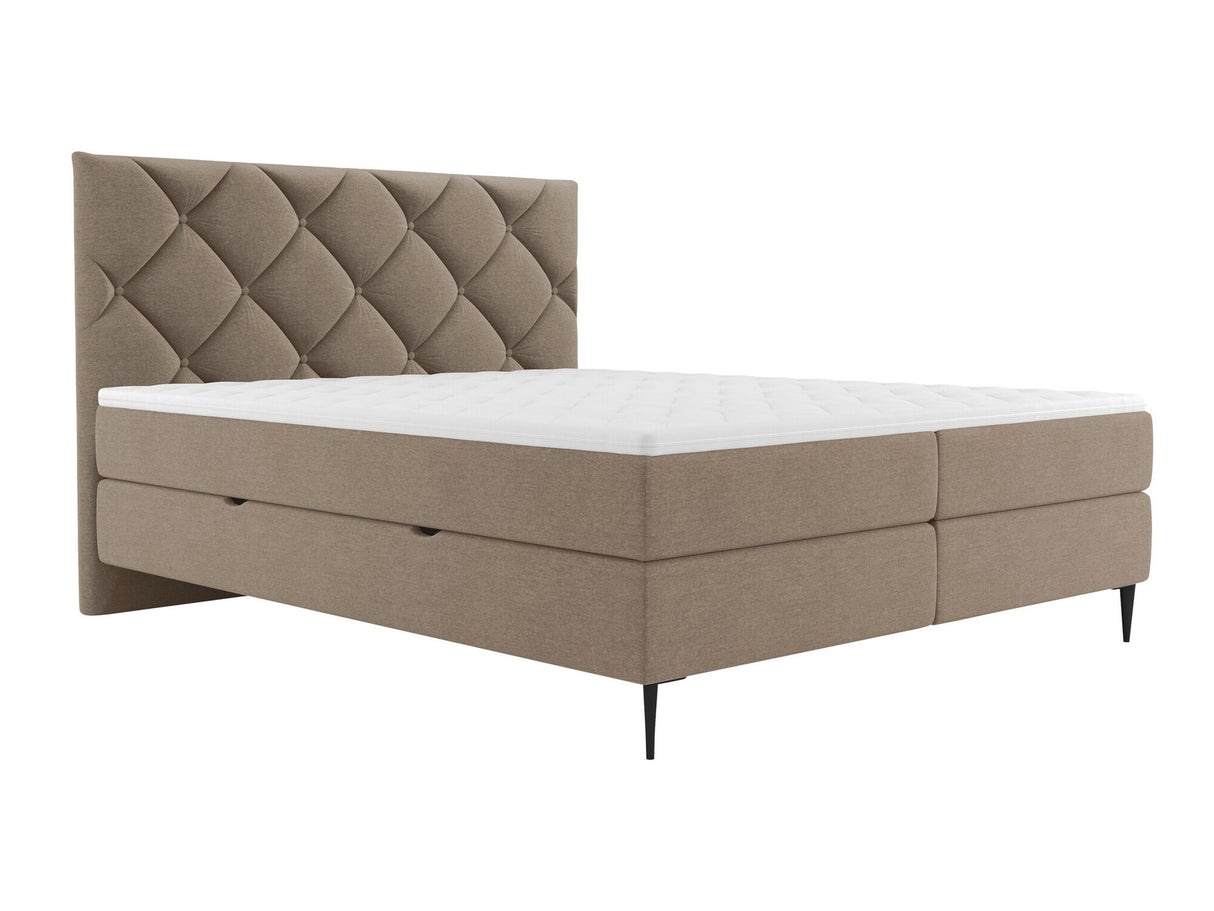 Continental lova 580562