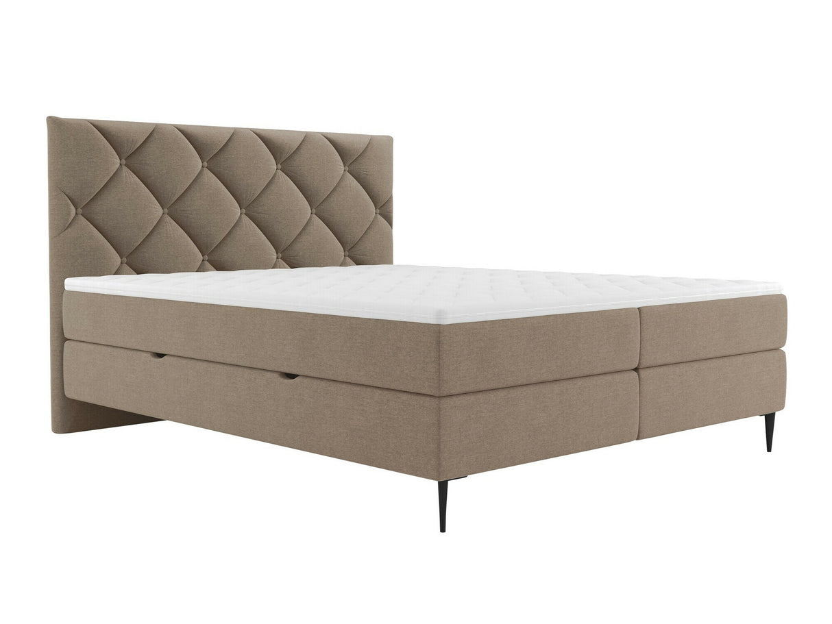 Continental lova 580562