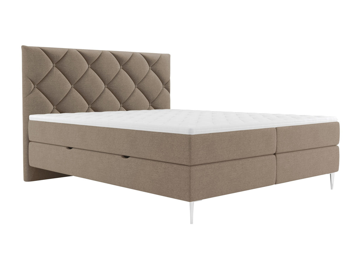 Continental lova 580562