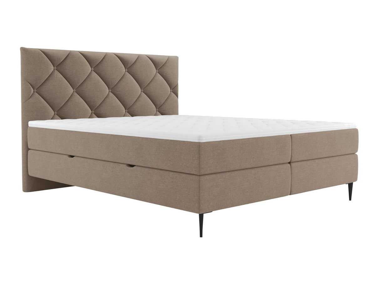 Continental lova 580562