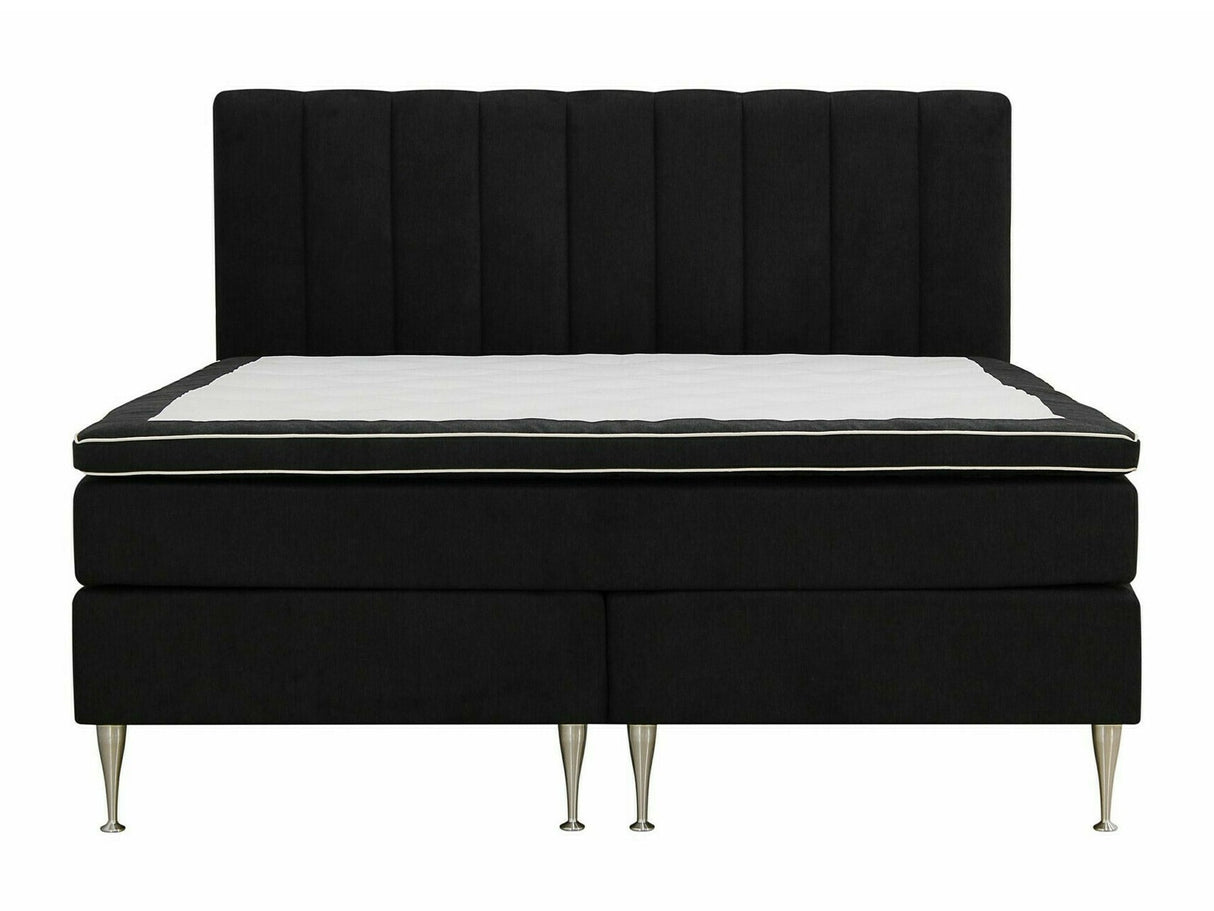 Continental lova 584644
