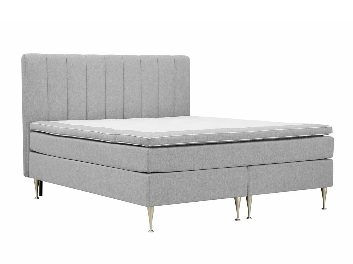 Continental lova 584644