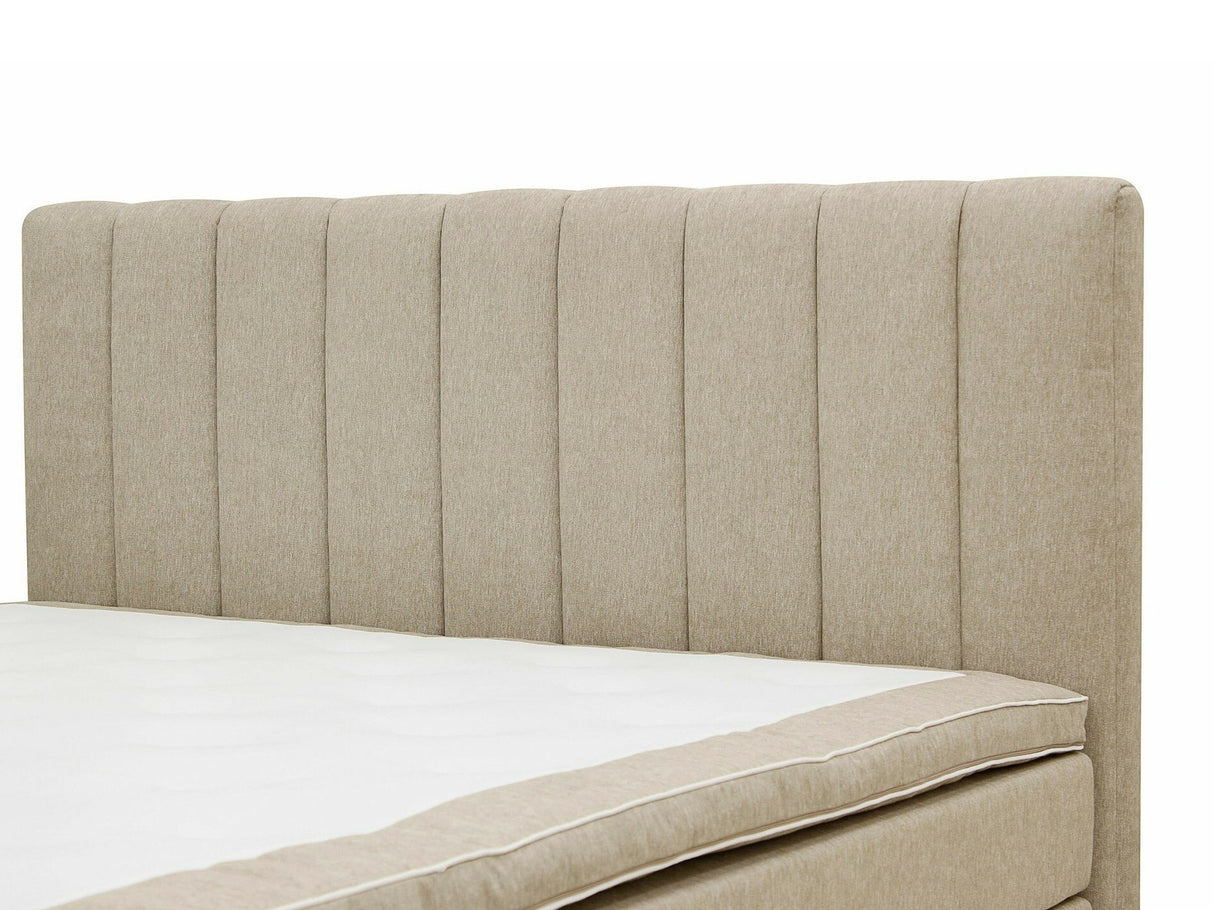 Continental lova 584644