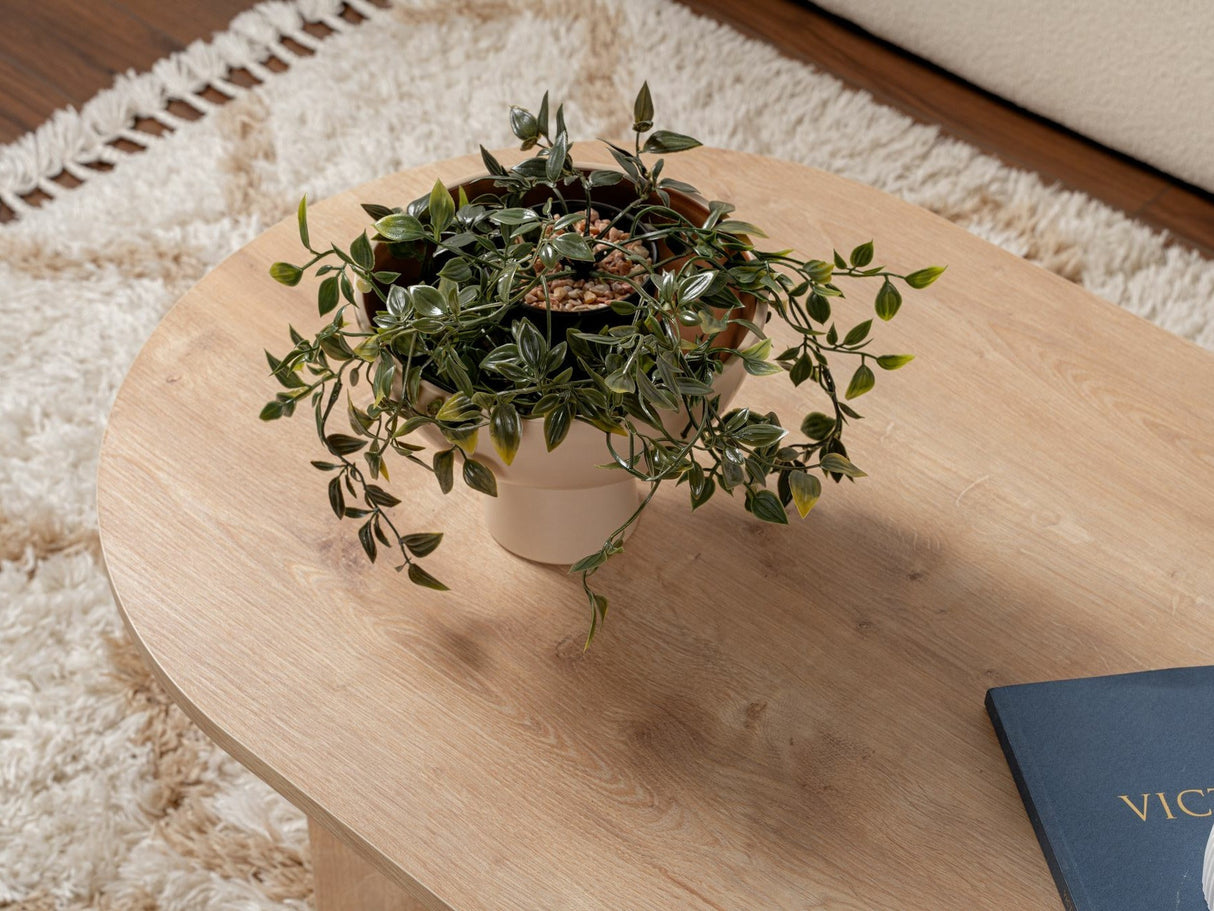 Žurnalinis staliukas 584925