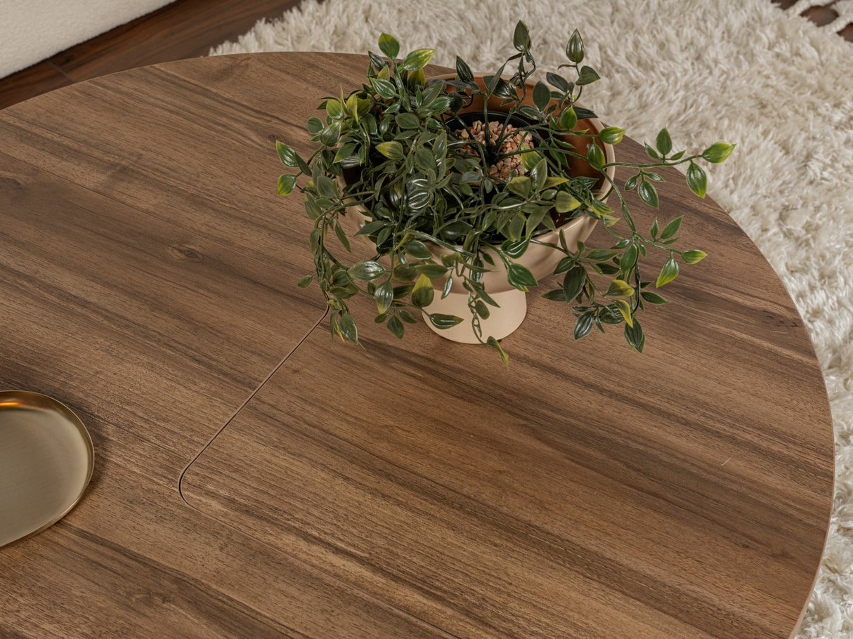 Žurnalinių staliukų komplektas 585090