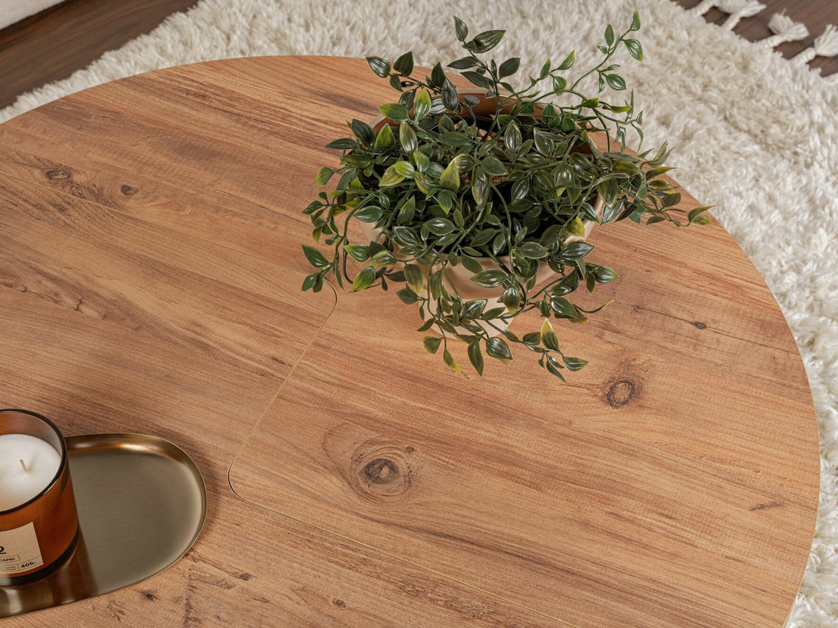 Žurnalinių staliukų komplektas 585090