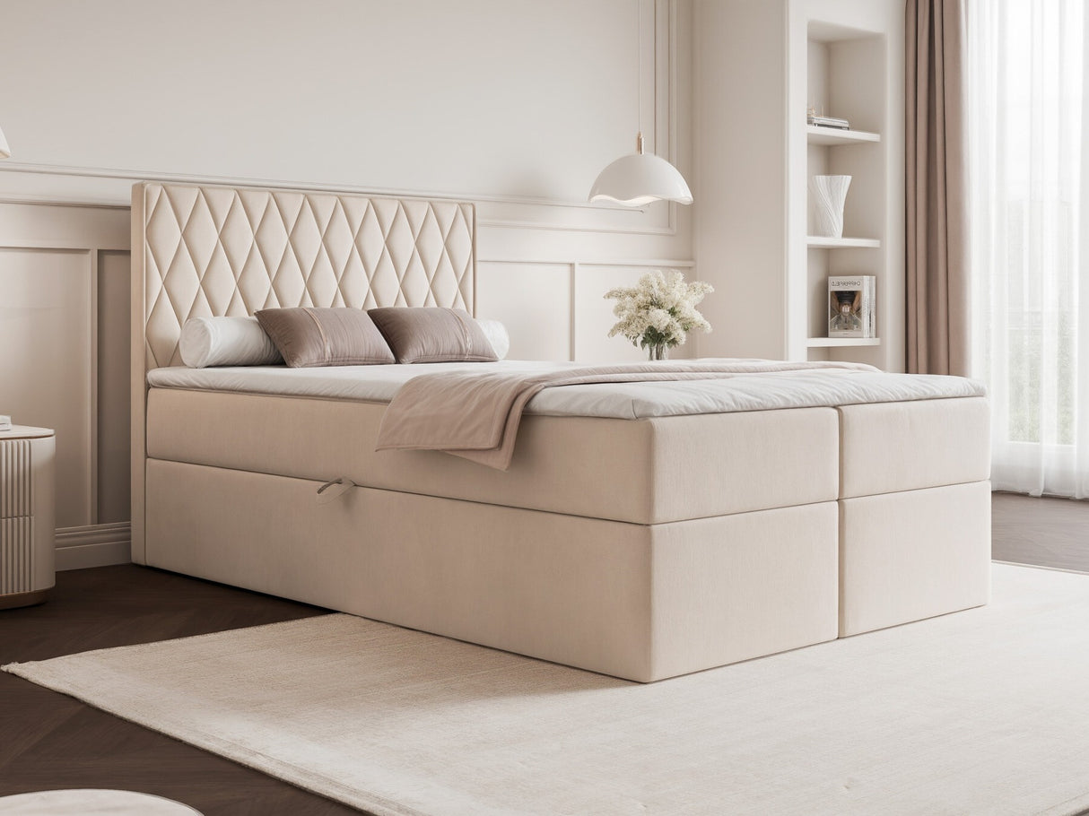 Continental lova 579670