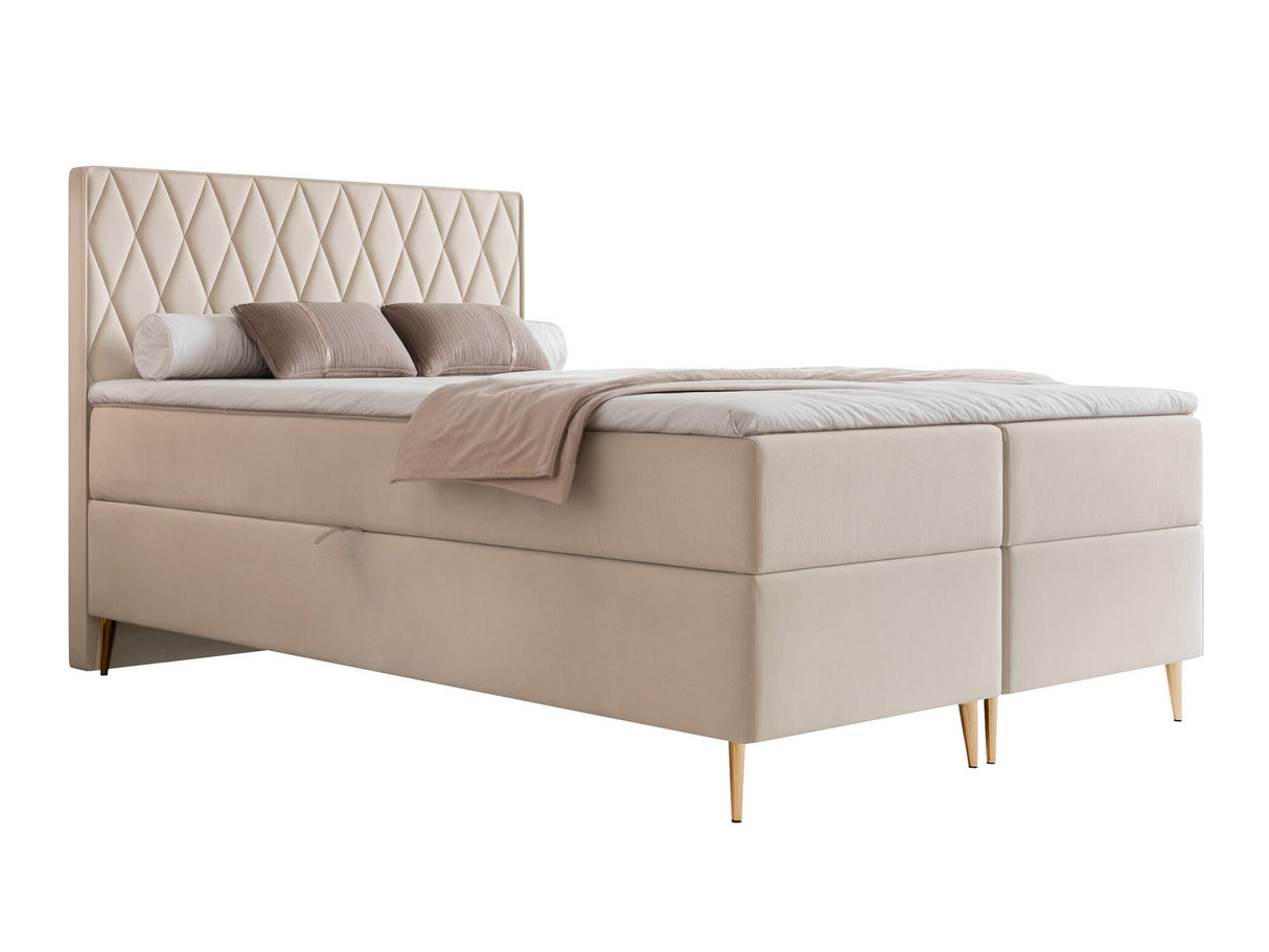 Continental lova 579146