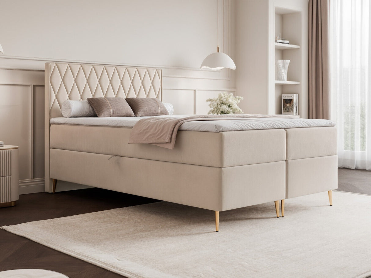 Continental lova 579146