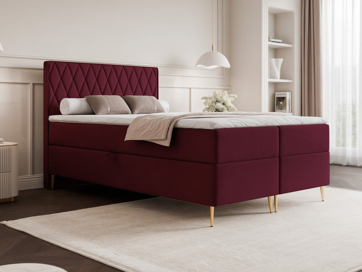 Continental lova 579146