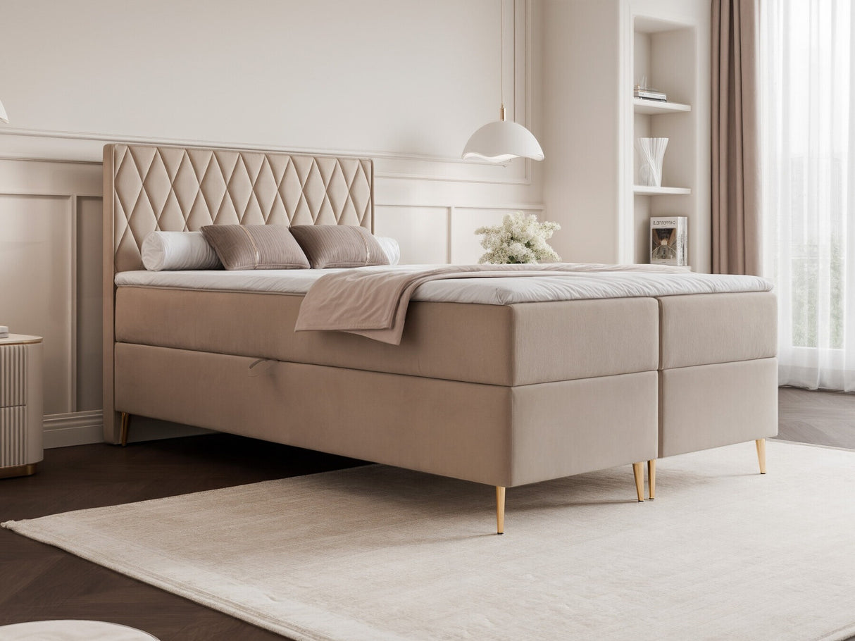 Continental lova 579146