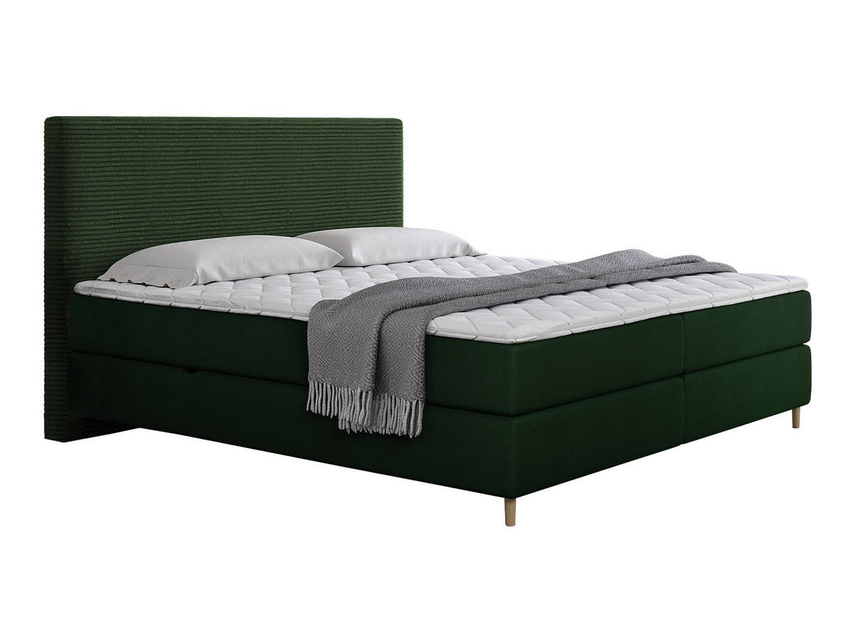 Continental lova 493984
