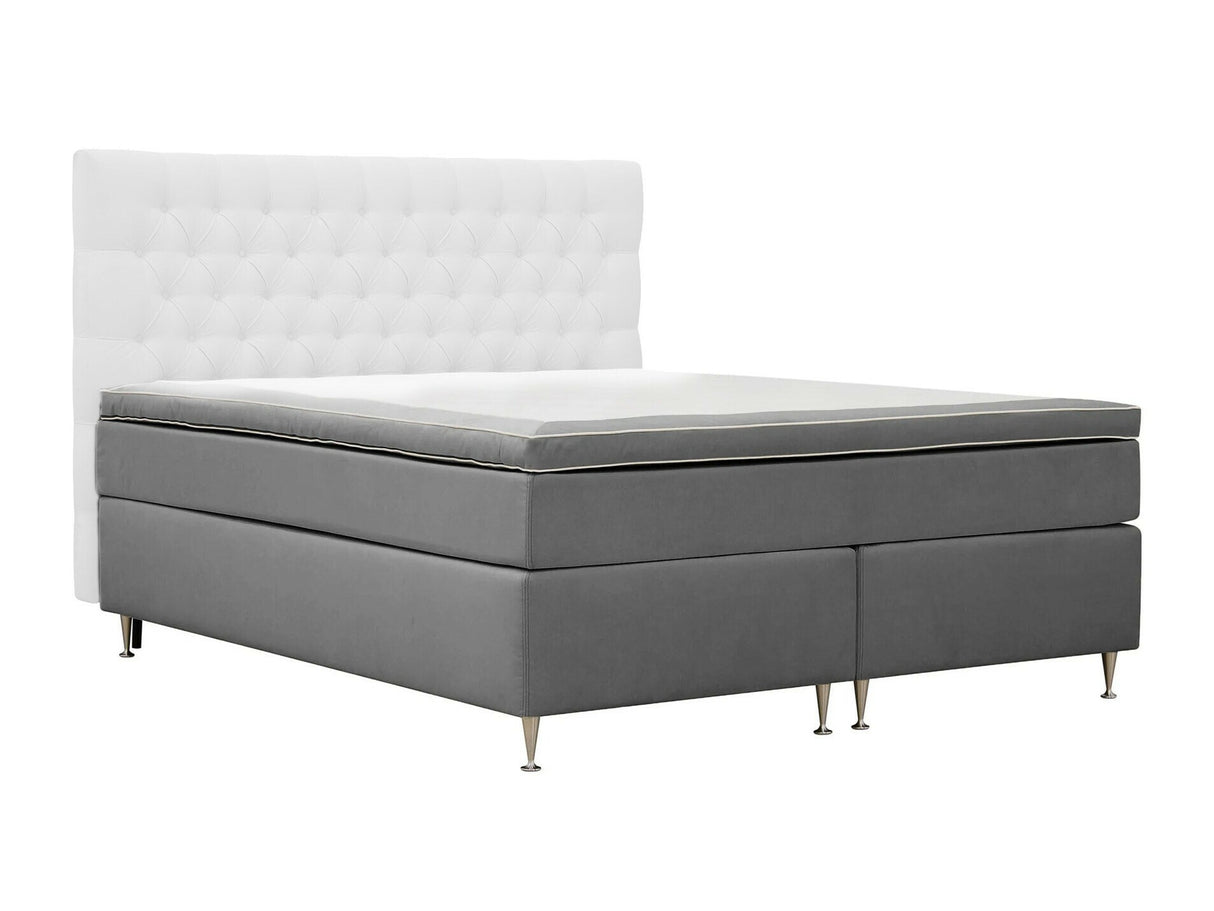 Continental lova 591481