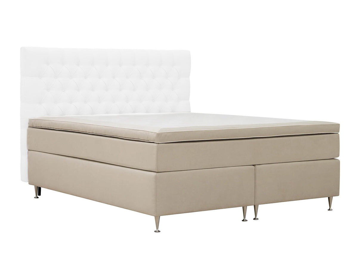 Continental lova 591481