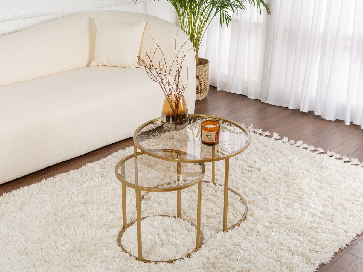 Žurnalinių staliukų komplektas 593483