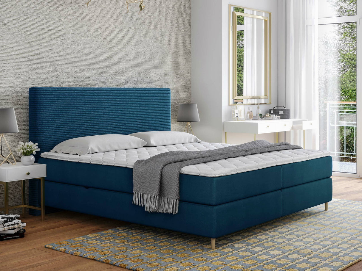 Continental lova 493984