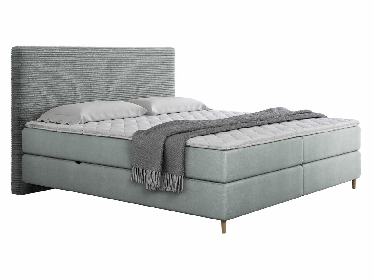 Continental lova 493984