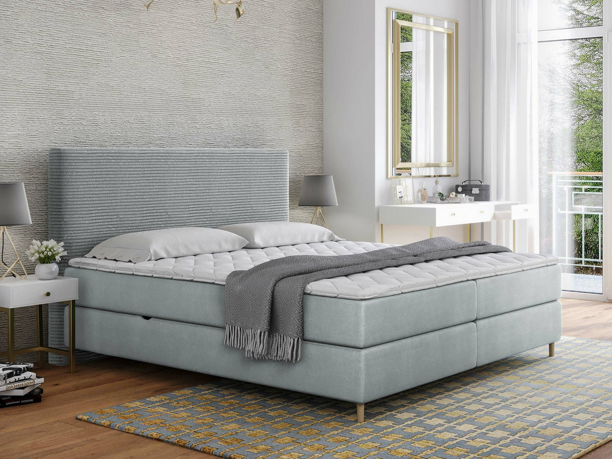 Continental lova 493984
