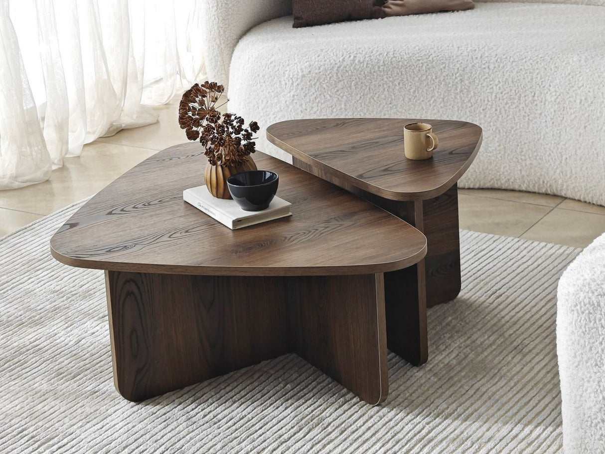 Žurnalinių staliukų komplektas 596984