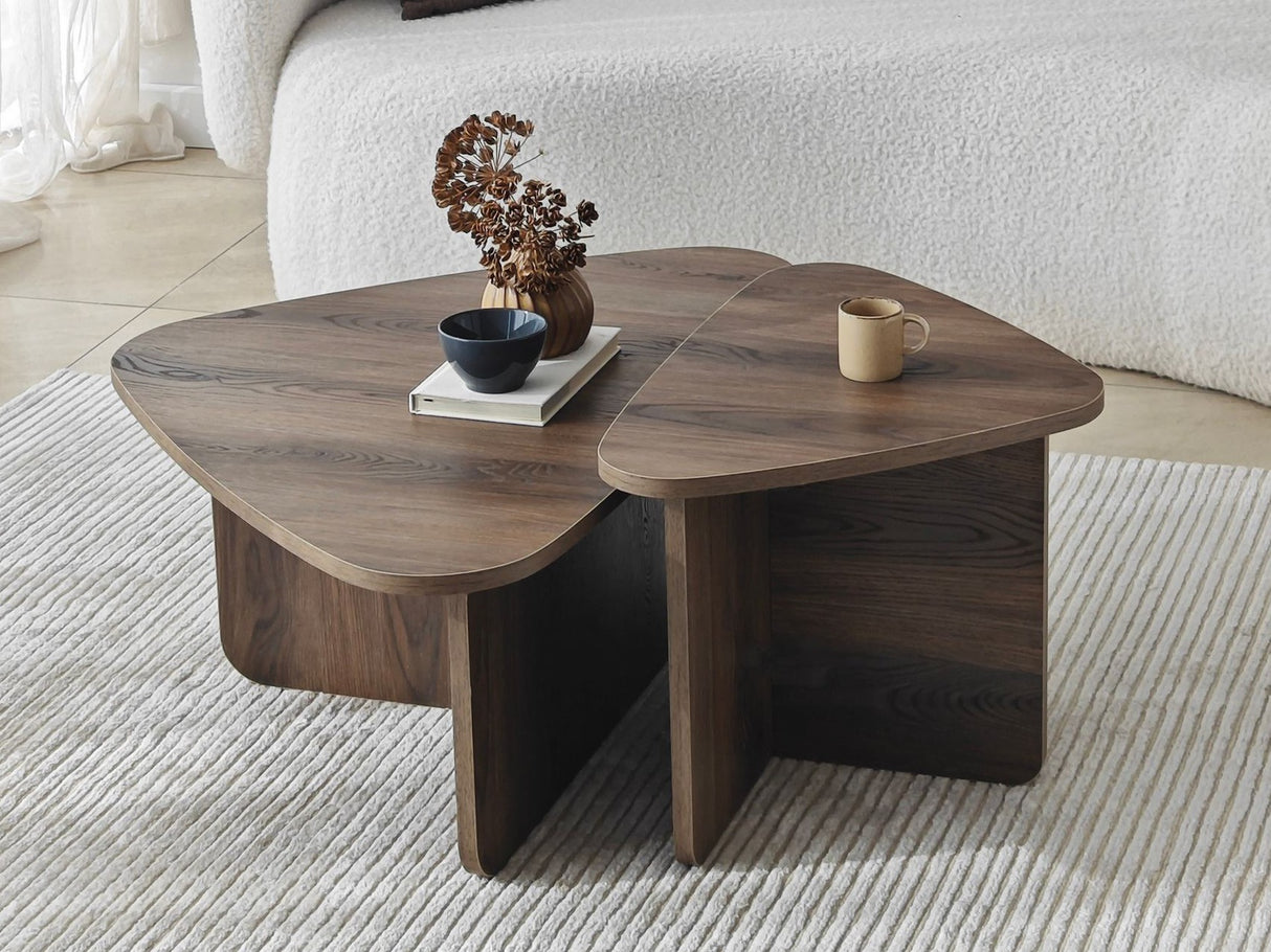 Žurnalinių staliukų komplektas 596984