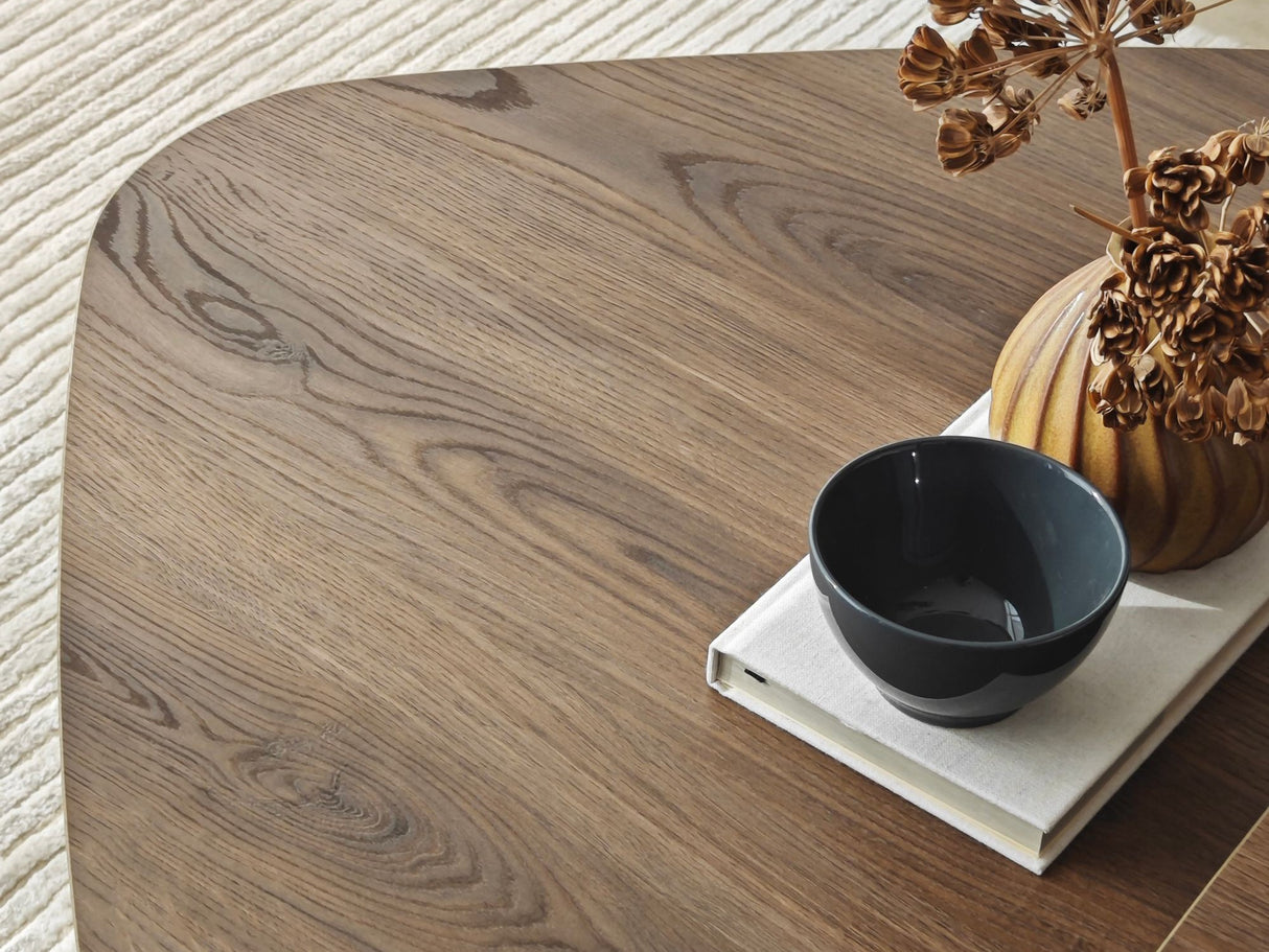 Žurnalinių staliukų komplektas 596984