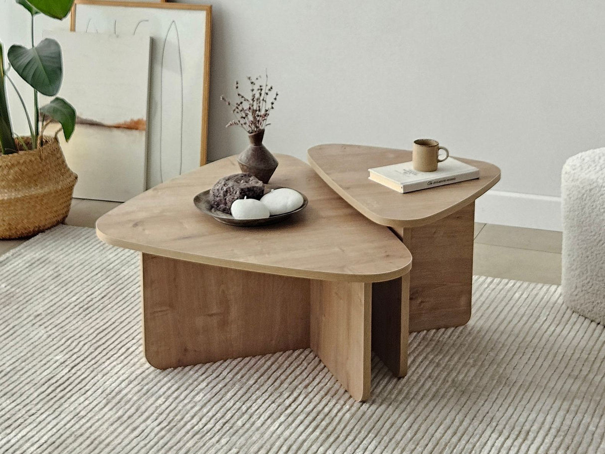 Žurnalinių staliukų komplektas 596984