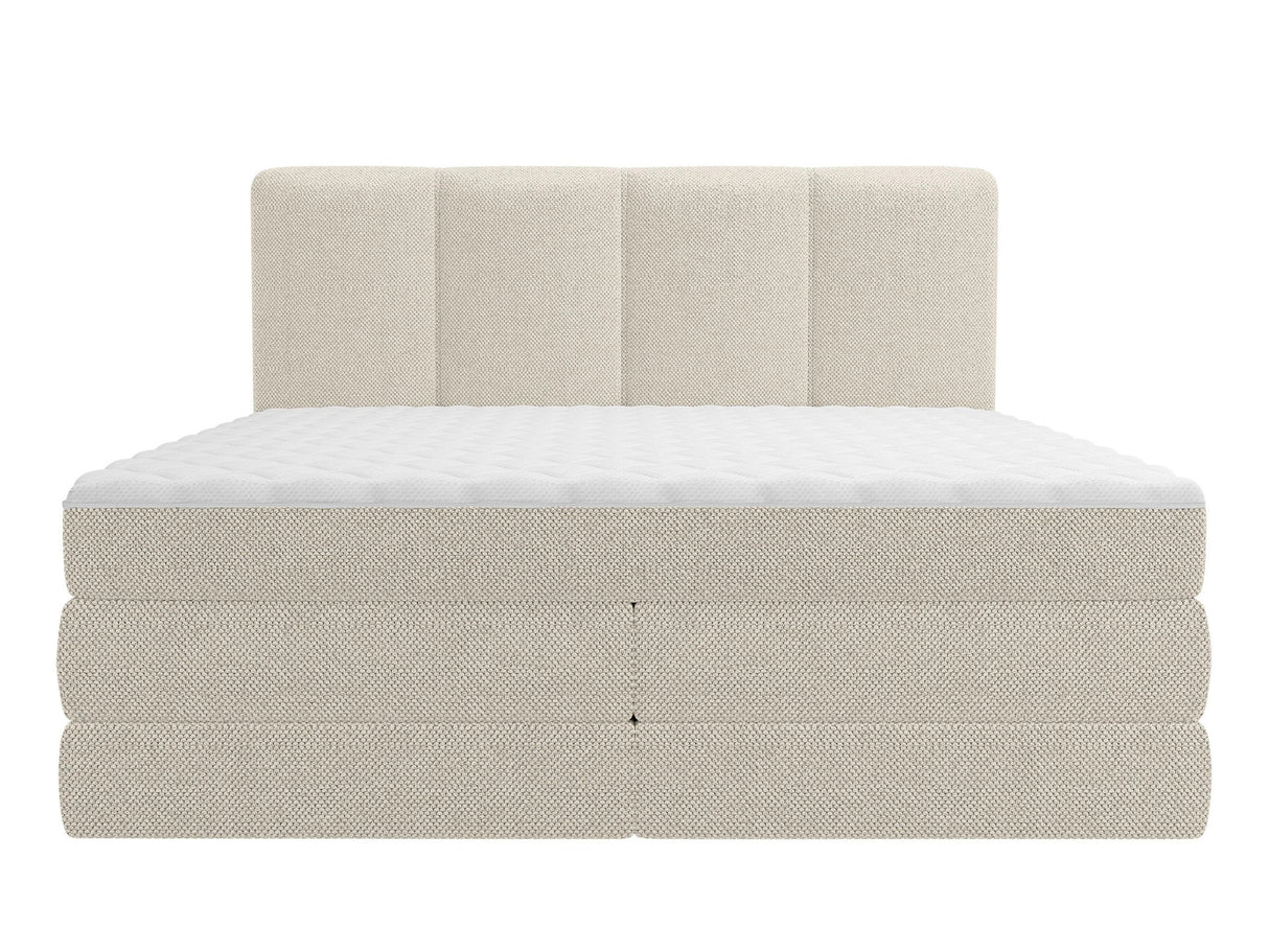 Continental lova 596997