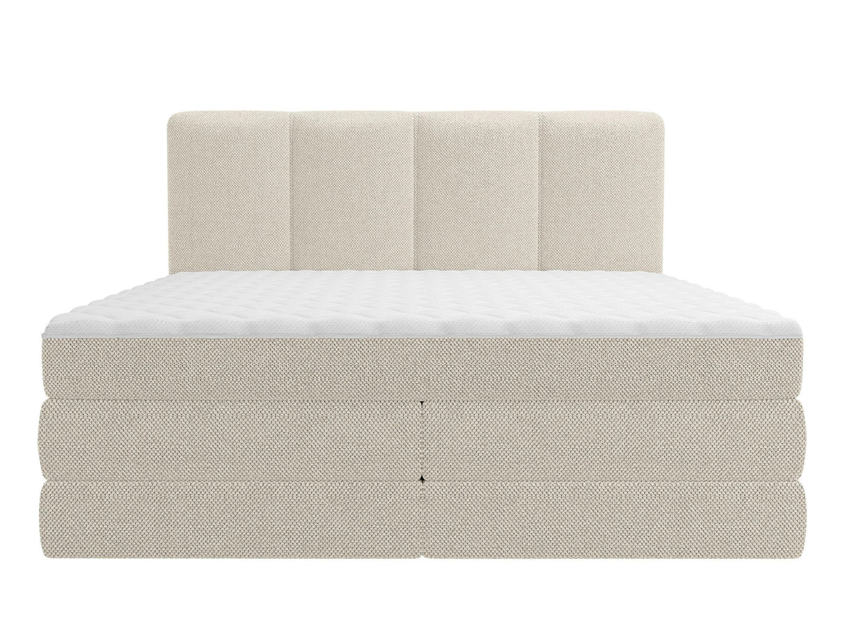 Continental lova 596997