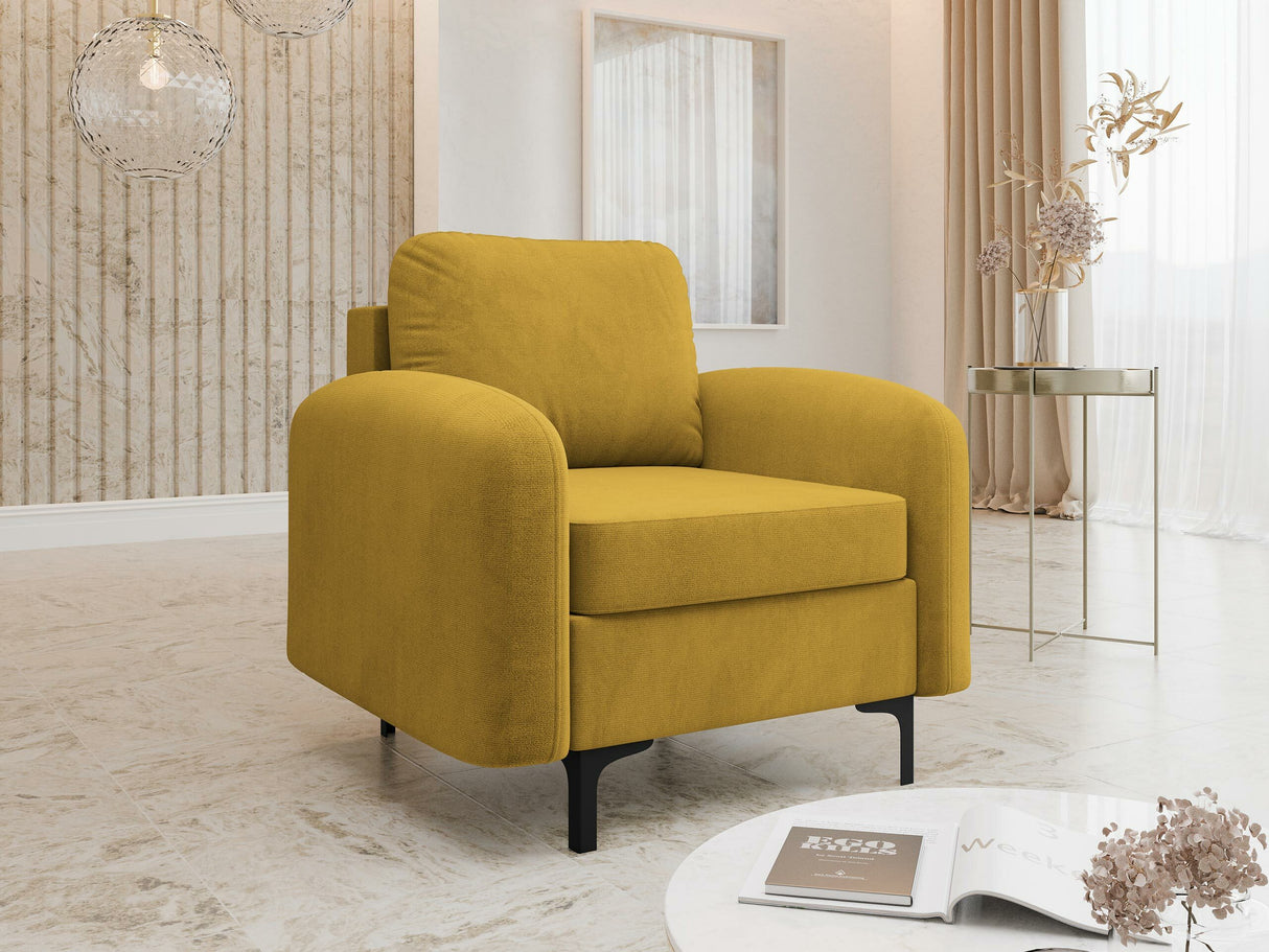 Fotelis 480976