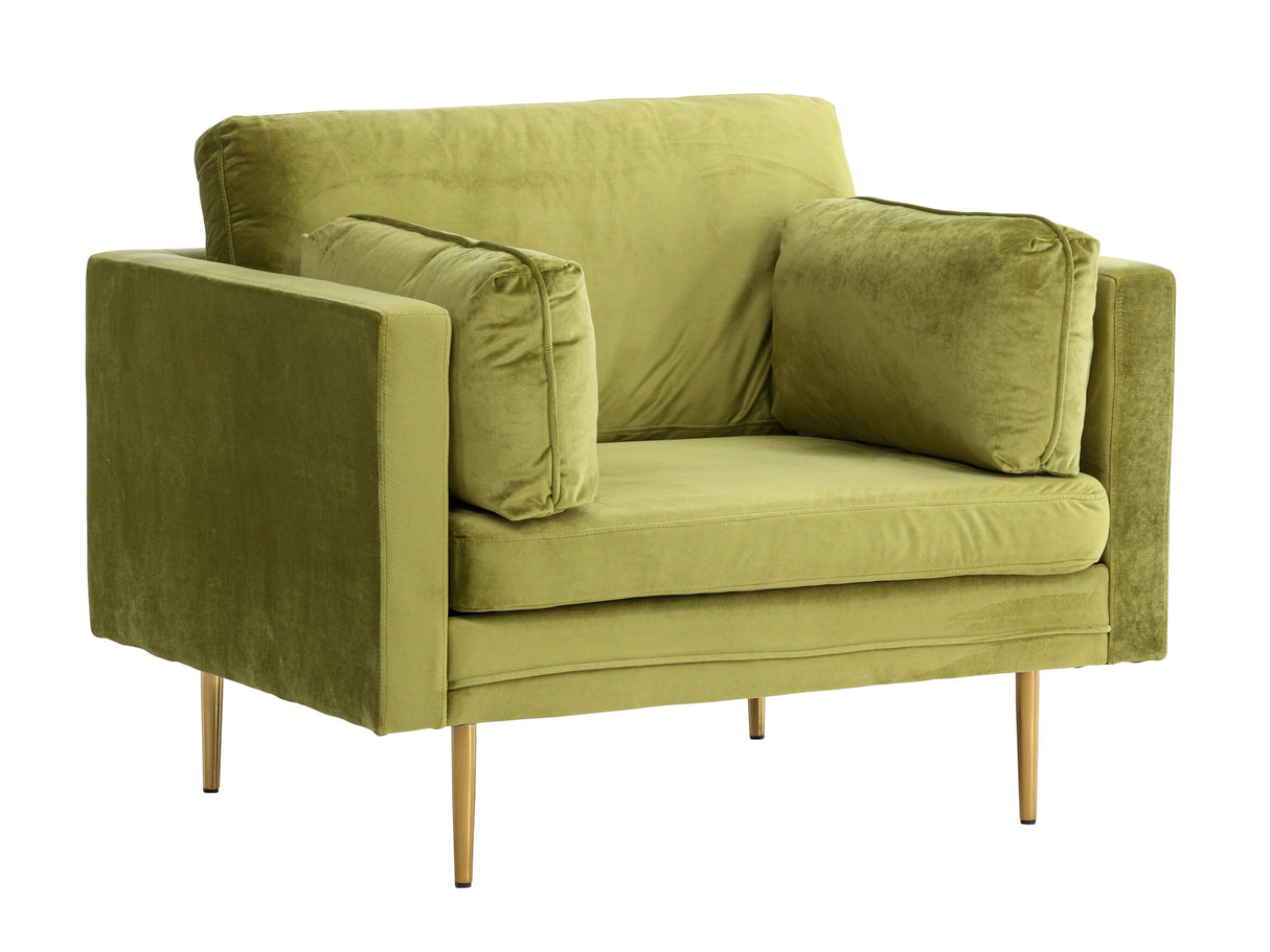 Fotelis 209850