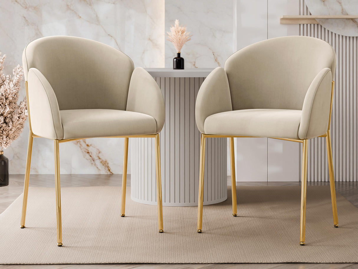 Kėdžių komplektas 605505