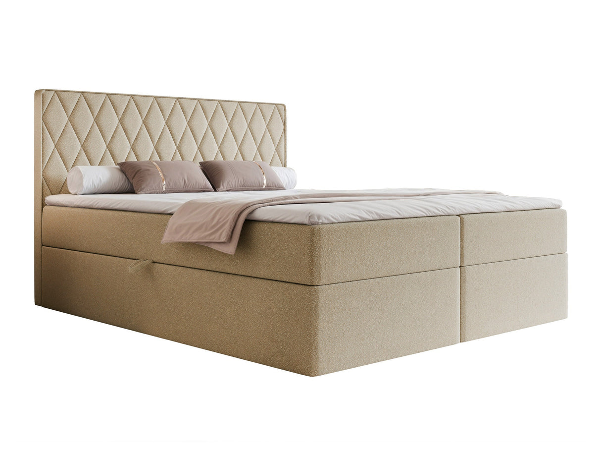 Continental lova 579670