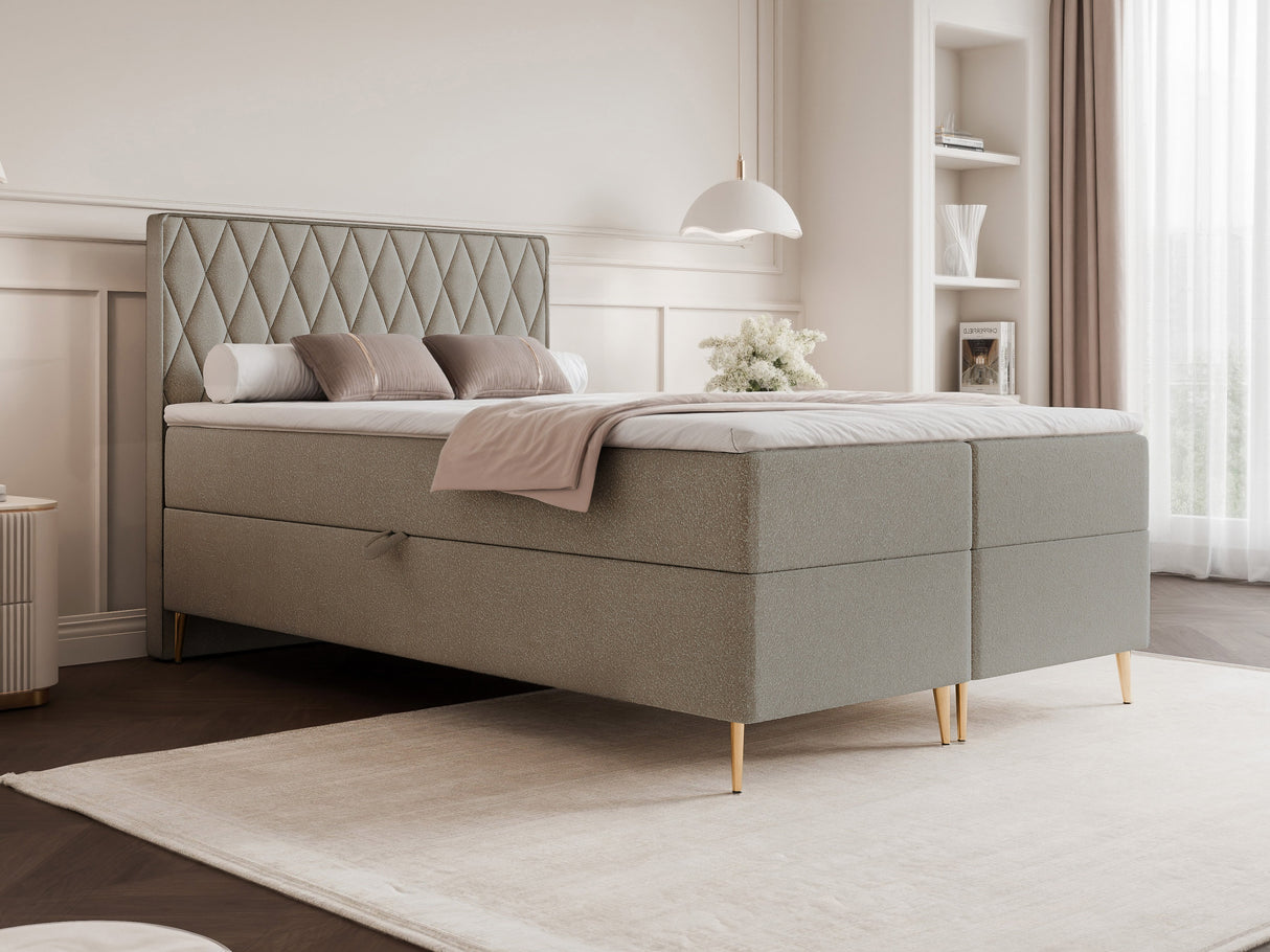 Continental lova 579146