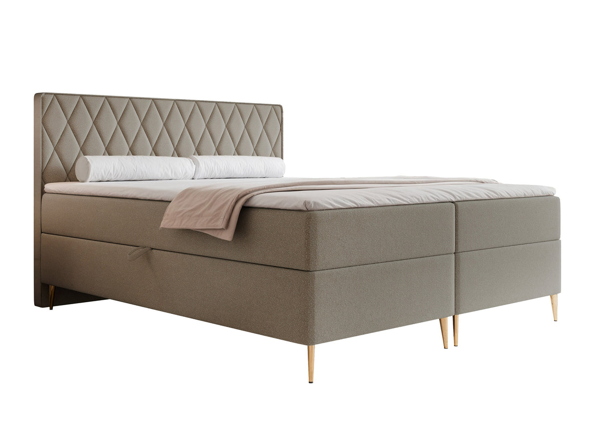 Continental lova 579146