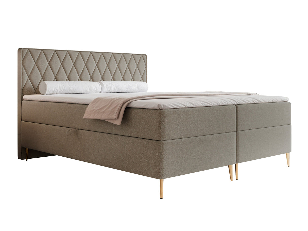 Continental lova 579146