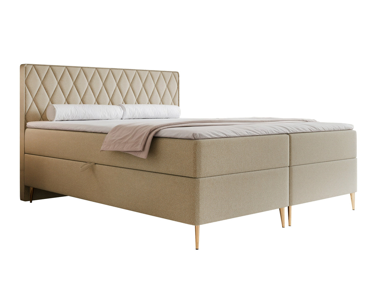 Continental lova 579146