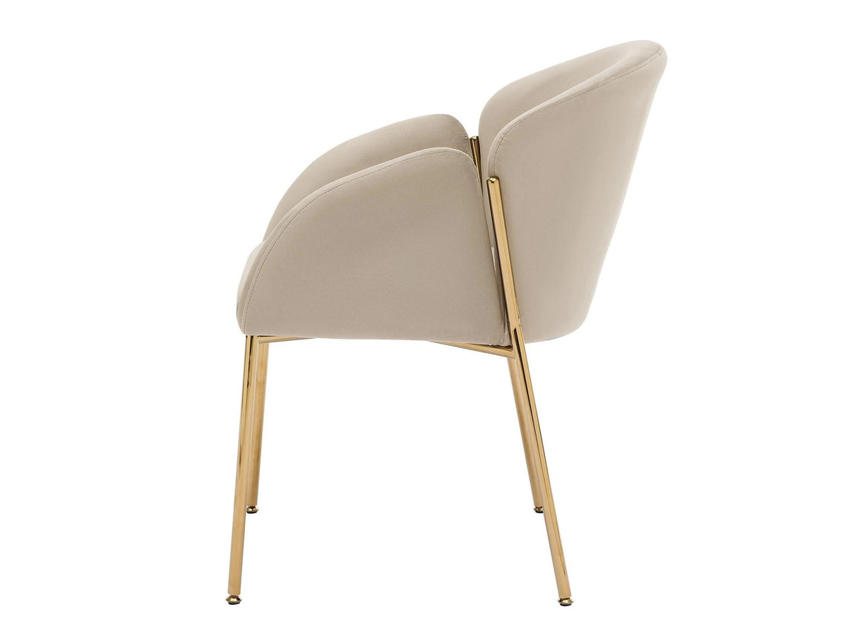 Kėdžių komplektas 605505 4215015