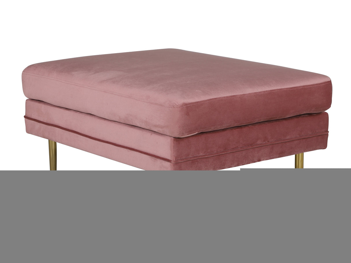 Minkštasuolis 429260 4224779