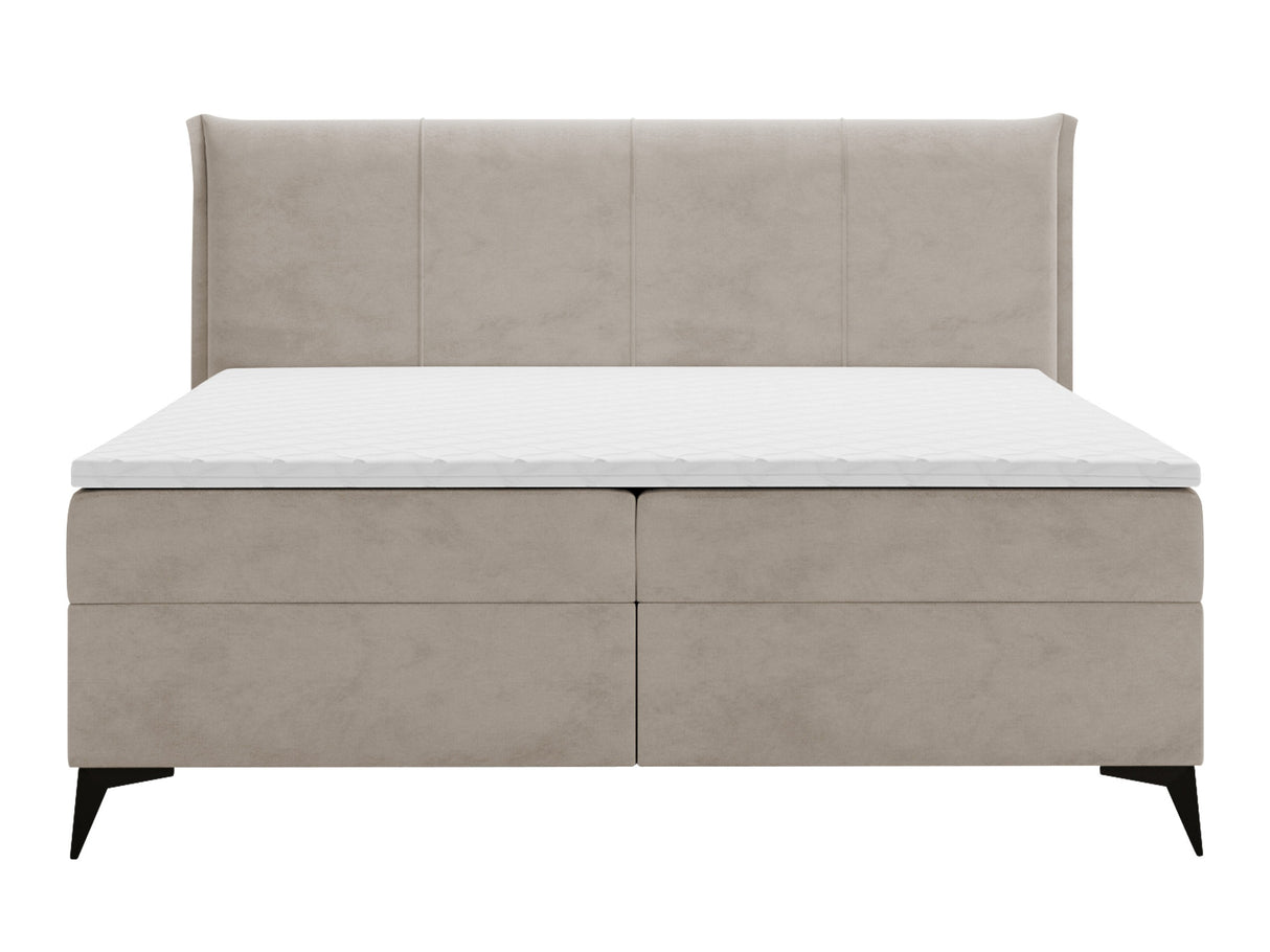 Continental lova 611615