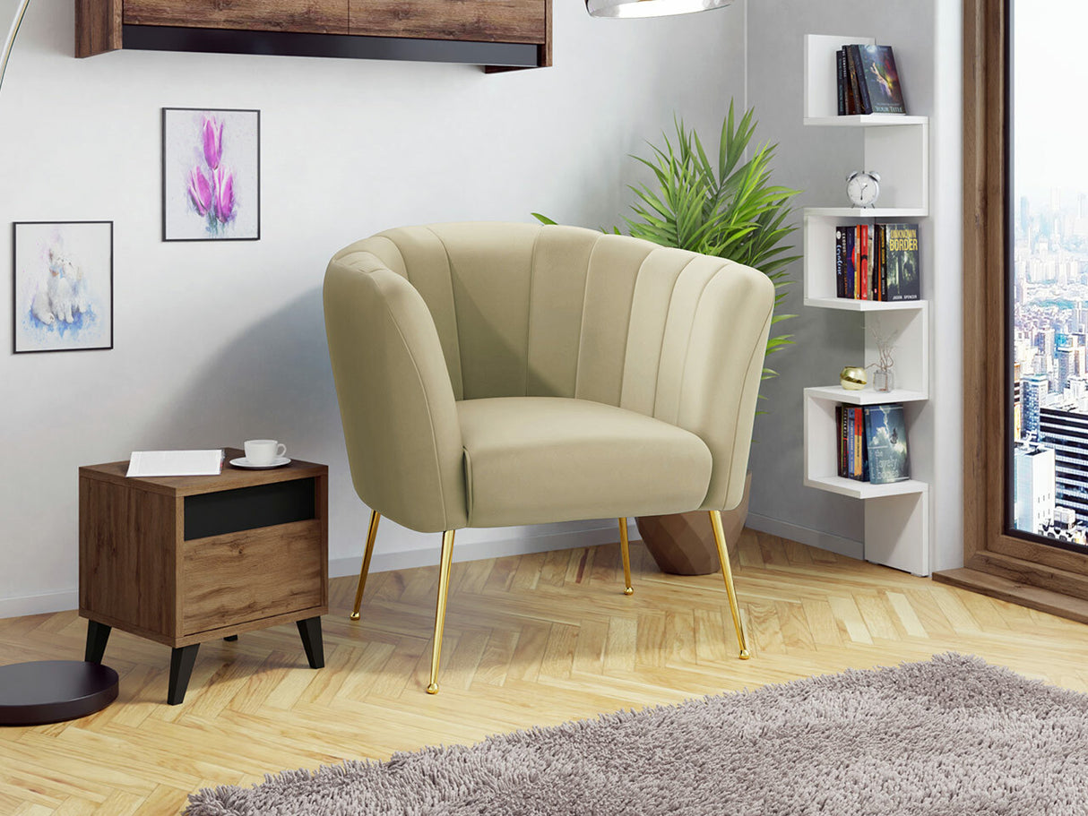 Fotelis 466194