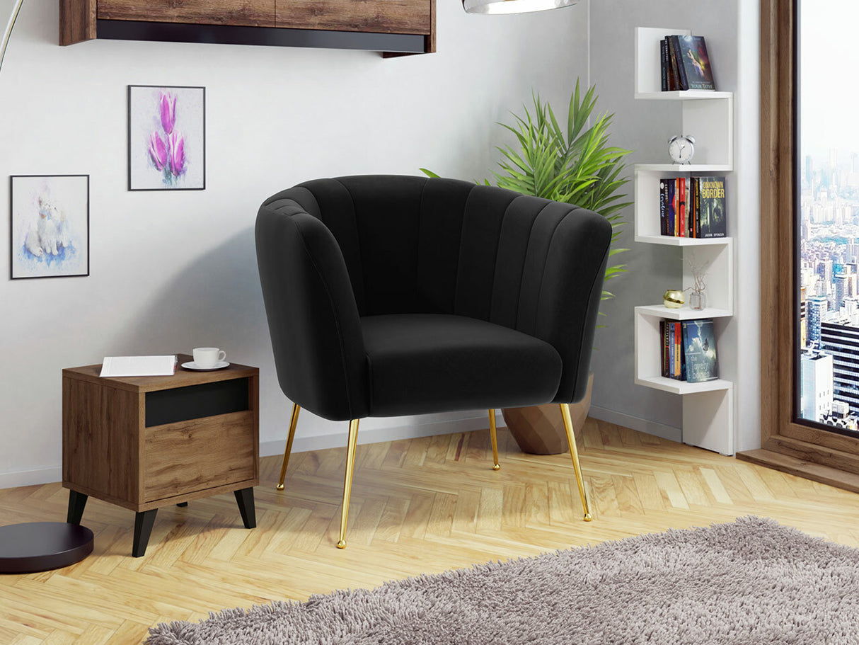 Fotelis 466194