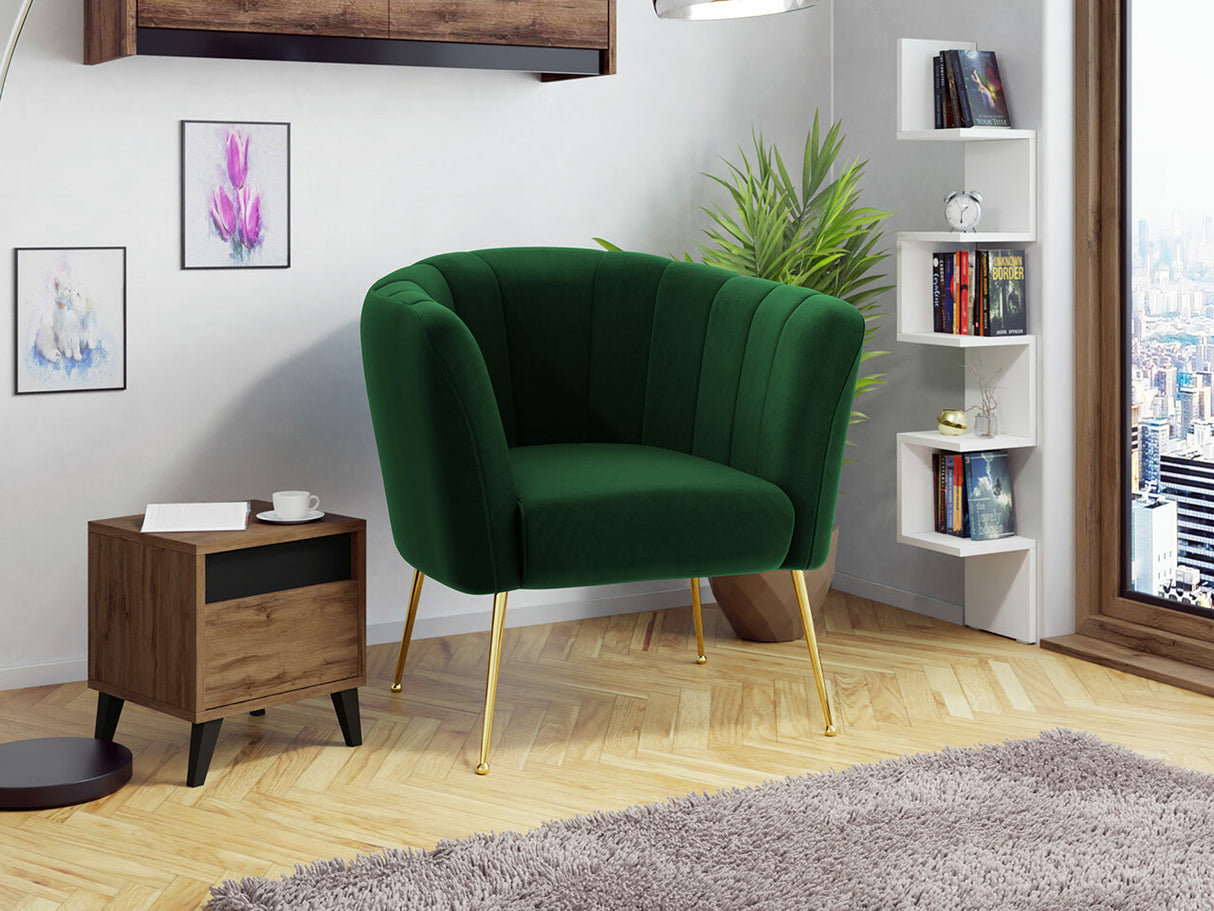 Fotelis 466194